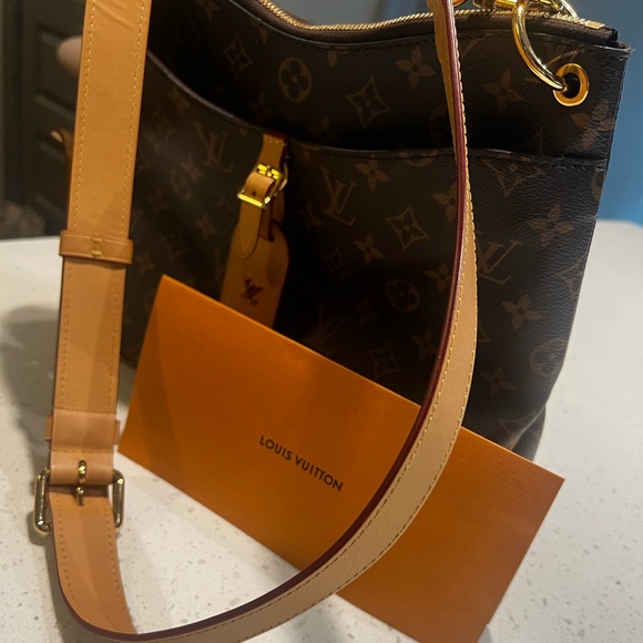 Louis Vuitton crossbody bag - Picture 1 of 1